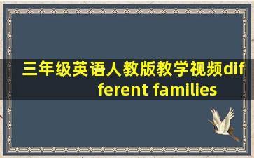 三年级英语人教版教学视频different families